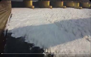 Toxic Foam On Yamuna River: యమునా నదిపై కాలుష్య వ్యర్థాలతో తెల్లటి నురగ, సోషల్ మీడియాలో వైరల్‌గా మారిన వీడియోలు