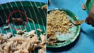 Cockroach Found in Biryani: బిర్యానీలో బొద్దింక కలకలం.. అల్లూరి జిల్లా మారేడుమిల్లిలోని ఓ రెస్టారెంట్ లో ఘటన (వీడియో)