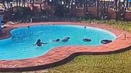 Girls Drown in Swimming Pool: ఈత రాక స్విమ్మింగ్ ఫూల్ లో మునిగి ముగ్గురు యువతులు మృతి.. కర్ణాటకలో ఘటన.. వైరల్ వీడియో