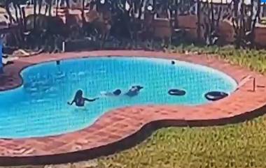 Girls Drown in Swimming Pool: ఈత రాక స్విమ్మింగ్ ఫూల్ లో మునిగి ముగ్గురు యువతులు మృతి.. కర్ణాటకలో ఘటన.. వైరల్ వీడియో