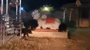 Bears at Lord Siva Temple: శివాలయంలోకి ఒకేసారి చొరపడ్డ మూడు ఎలుగుబంట్లు.. భయంతో పరుగెత్తిన జనాలు (వీడియో)