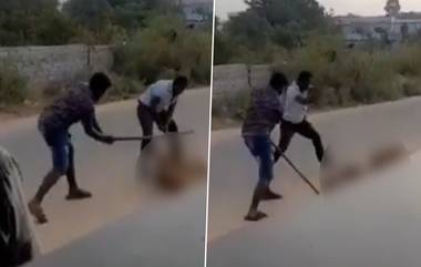 Animal Cruelty in Hyderabad: హైదరాబాద్‌లో దారుణం, మూడు కుక్కలను విచక్షణారహితంగా కొట్టి చంపిన ముగ్గురు వ్యక్తులు, కడుపుతో ఉన్న ఓ కుక్క సహ మరో మూడు కుక్కలు మృతి, వీడియో ఇదిగో...