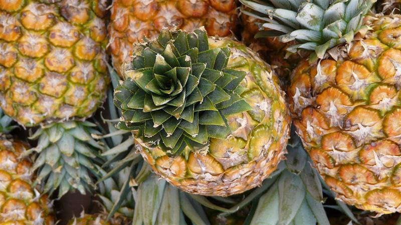 Health Tips: ఈ జబ్బులు ఉన్నవారు ఎట్టి పరిస్థితుల్లో కూడా పైనాపిల్ ని తీసుకోకూడదు..