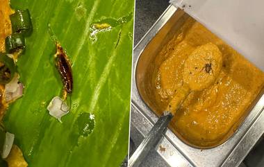 Cockroach Found In Chutney: చట్నీలో బొద్దింకలు.. కూకట్‌ పల్లిలోని మధురం టిఫిన్స్‌ లో ఘటన