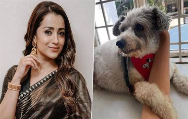 Trisha Emotional Post: నా కొడుకు చ‌నిపోయాడు! న‌టి త్రిష ఎమోష‌న‌ల్ పోస్ట్, ఇన్ స్టాగ్రామ్ లో వైర‌ల్ అవుతున్న పోస్ట్ ఇదుగో..