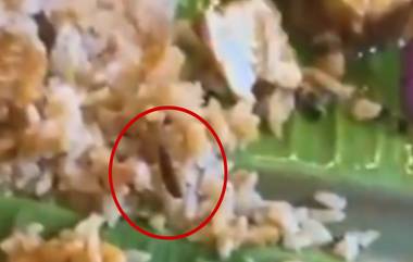 Cockroach Found In Biryani: బిర్యానీలో బొద్దింక.. హైదరాబాద్ మదీనాగూడలోని తాడిపత్రి బిర్యానీ సెంటర్ లో ఘటన (వీడియో)