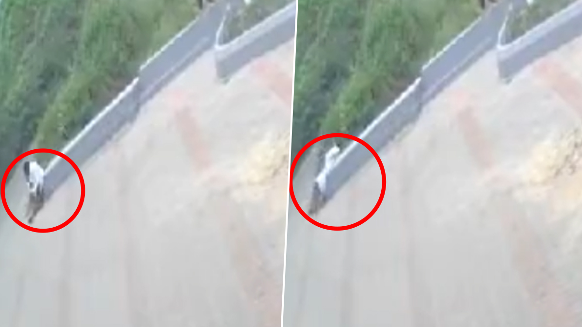 Sudden Death Video: షాకింగ్ వీడియో, కూర్చున్న చోటే అకస్మాత్తుగా వెనక కాలువలో పడిపోయిన ఓ వ్యక్తి, ఆస్పత్రికి తరలించేలోపే మృతి