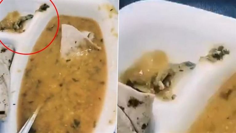 Dead Lizard Found in Food: దారుణం, ఆస్పత్రిలో రోగికి వడ్డించిన ఆహారంలో చనిపోయిన బల్లి, తెలియకుండా తినడంతో పరిస్థితి విషమం, వీడియో ఇదిగో..