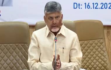 CM Chandrababu Polavaram Visit: పోలవరం, అమరావతి రాష్ట్రానికి రెండు కళ్లు, 2027 డిసెంబర్ నాటికి పూర్తి చేస్తామని తెలిపిన సీఎం చంద్రబాబు