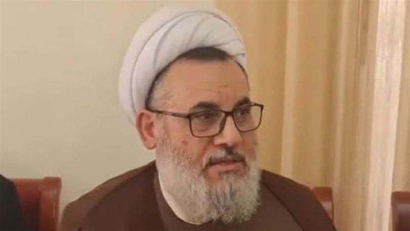 Hezbollah Leader Sheikh Muhammad Ali Hamadi Shot Dead: హిజ్బుల్లా కమాండర్‌ హతం, కుటుంబ కలహాలతో కాల్చి చంపినట్లు అంతర్జాయ కథనాలు