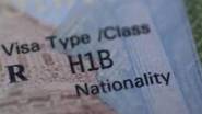 H1B Visas: హెచ్‌ 1B వీసాల జారీలో భారతీయ ఐటీ కంపెనీలపై చిన్నచూపు, ఈసారి ఎన్ని వీసాలు జారీ చేశారంటే?