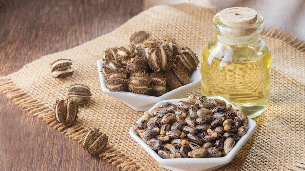 Health Tips: ప్రతిరోజు పరగడుపున ఒక స్పూన్ ఆముదం నూనెను తాగడం ద్వారా ఎన్ని అనారోగ్య సమస్యలు తొలగిపోతాయో తెలుసా..