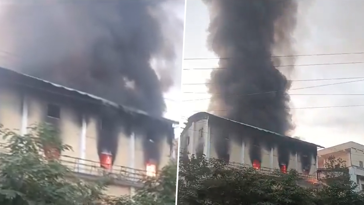 Fire Accident In Parawada Pharma City: అనకాపల్లి జిల్లా పరవాడ ఫార్మా సిటీలో అగ్ని ప్రమాదం.. ఎగిసిపడిన మంటలు..  భయాందోళనకు గురయిన కార్మికులు, స్థానికులు (వీడియో)