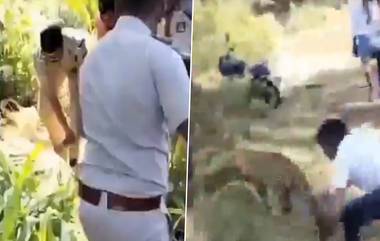 Man Grabs Leopard’s Tail: డియర్ ఆనంద్.. నీ ధైర్యానికి హ్యాట్సాఫ్‌... చిరుత‌కే చుక్క‌లు చూపించిన తెగువ ఎంతోమందిని కాపాడింది బాస్... వైర‌ల్ వీడియో!