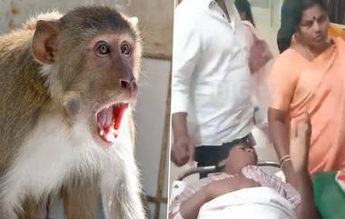 Monkey Fear: కోతులు బెదిరించడంతో భయపడి భవనంపై నుంచి దూకిన విద్యార్థి.. గాయాలు.. కరీంనగర్ లో ఘటన (వీడియో)