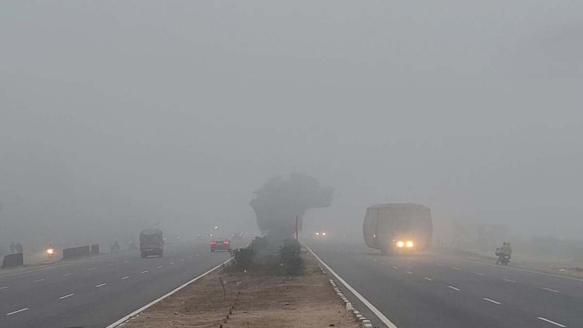 Delhi Weather: ఢిల్లీలో దట్టమైన పొగమంచు...100కి పైగా విమానాల ఆలస్యం, 7 విమానాలు రద్దు.. పూర్తి వివరాలివే