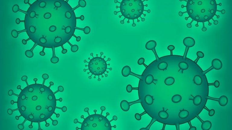 HMPV Virus in India: భారత్‌లో ఇద్దరు చిన్నారులకు సోకిన హెచ్ఎంపీవీ వైరస్,అధికారికంగా ధృవీకరించిన ఐసీఎంఆర్, బెంగళూరులోనే ఈ రెండు కేసులు నమోదు