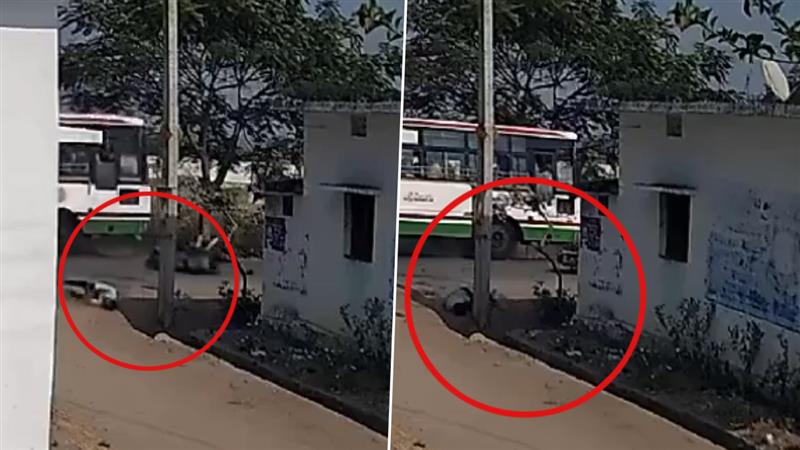 Road Accident At Narayanapet: నారాయణపేటలో రోడ్డు ప్రమాదం, బైక్‌ను ఢీ కొట్టిన ఆర్టీసీ బస్సు.. ఇద్దరి పరిస్థితి విషమం, వీడియో ఇదిగో