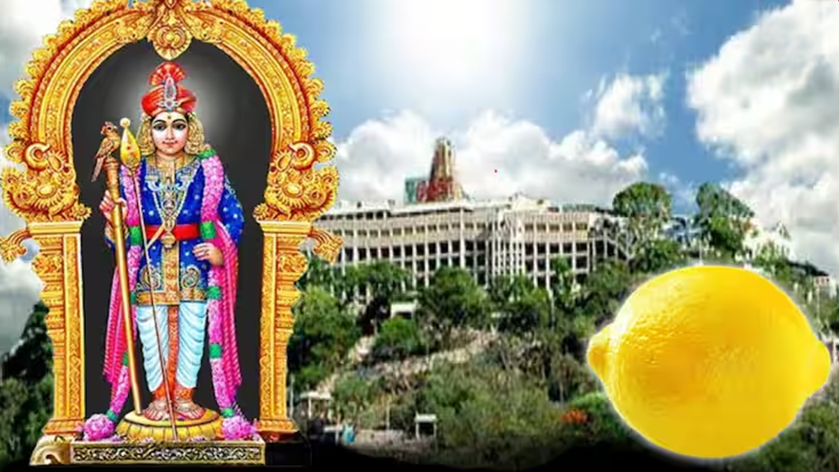 Five Lakh Lemon: ఒక్క నిమ్మకాయ రూ. 5 లక్షలు.. వేలంలో సొంతం.. తమిళనాడులోని పళనిలో ఘటన.. ఎందుకు అంత డిమాండ్??