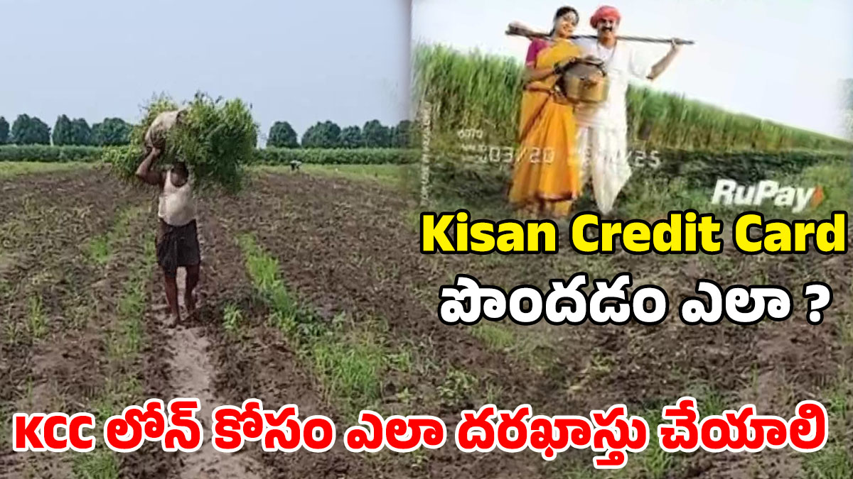 Kisan Credit Card: కిసాన్‌ క్రెడిట్‌ కార్డుతో రైతులు రూ. 5 లక్షలు రుణం పొందవచ్చు, లోన్ కోసం ఎలా అప్లై చేసుకోవాలో తెలుసుకోండి, అలాగే Kisan Credit Card ఎలా పొందాలో వివరాలు మీకోసం..