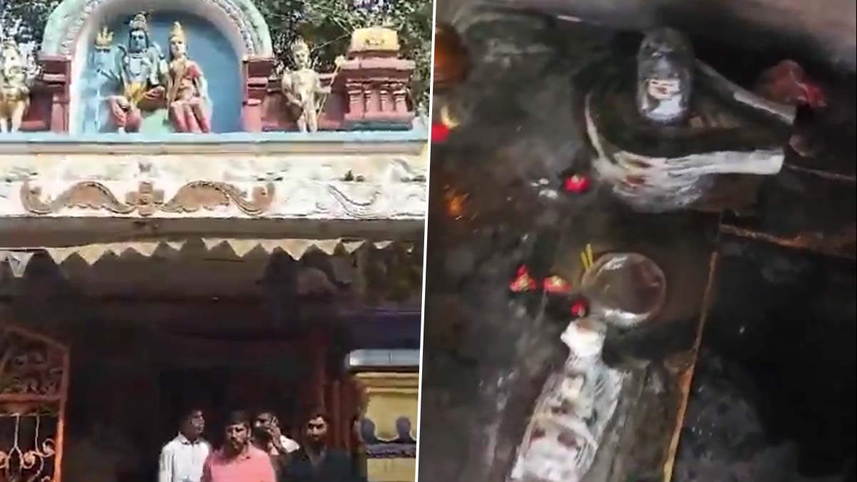 Desecration In Temple: శివాలయంలో అపచారం.. శివలింగం వద్ద మాంసం ముద్దలు, నిందితులపై చర్యలు తీసుకోవాలని బీజేపీ ఎమ్మెల్యే రాజాసింగ్ డిమాండ్