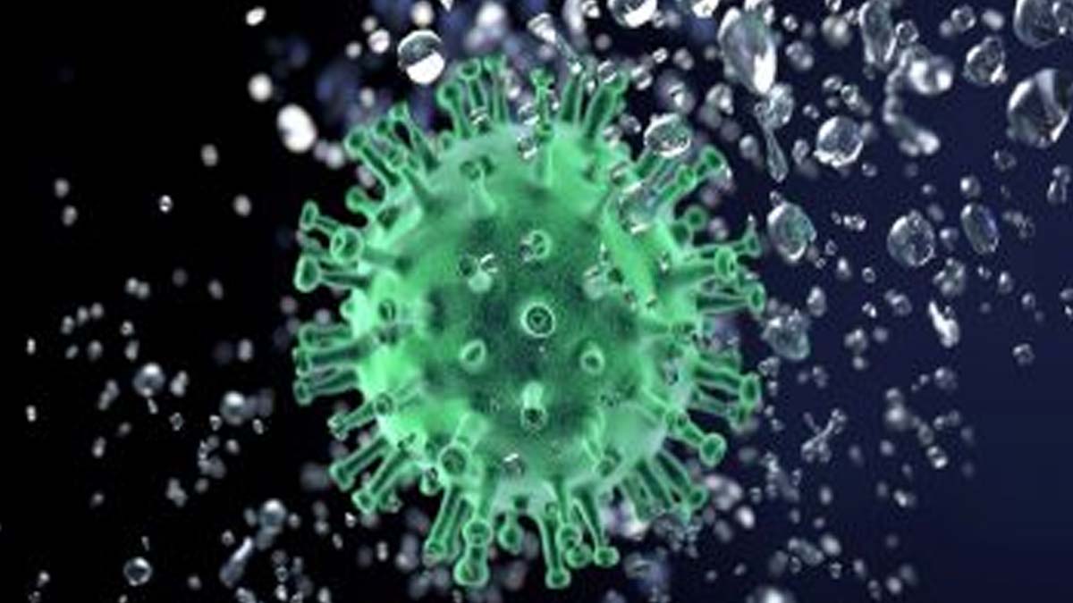 Norovirus Outbreak: నోరో వైరస్ కలకలం.. క్రూయిజ్‌లో వందల మంది ప్రయాణీకులకు నోరోవైరస్, వాంతులతో భయానక వాతావరణం, వివరాలివే