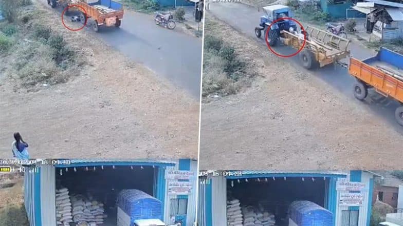 Kolhapur Accident Video: షాకింగ్ వీడియో ఇదిగో, ట్రాక్టర్ మీద నుంచి దిగుతూ జారి కింద పడి విద్యార్థి మృతి, ముందు టైరు ఒక్కసారిగా ఎక్కేయడంతో..