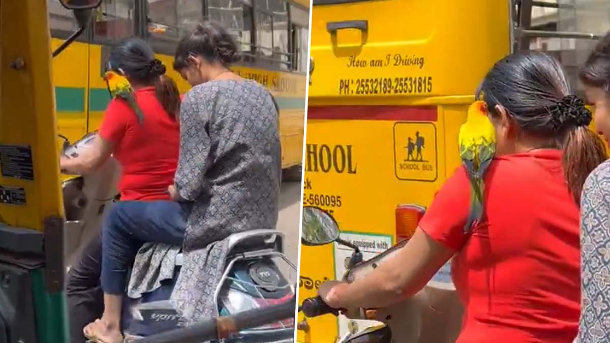 Bengaluru Viral Video: భుజంపై చిలుక..హెల్మెట్‌ లేకుండా లేకుండా బైక్ నడుపుతున్న యువతి, బెంగళూరులో వైరల్‌గా మారిన వీడియో