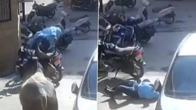 Bull Attack Video: షాకింగ్ వీడియో ఇదిగో, షాపుకు వెళుతున్న యజమానిపై అకస్మాత్తుగా దాడి చేసిన ఎద్దు, చికిత్స పొందుతూ బాధితుడు మృతి