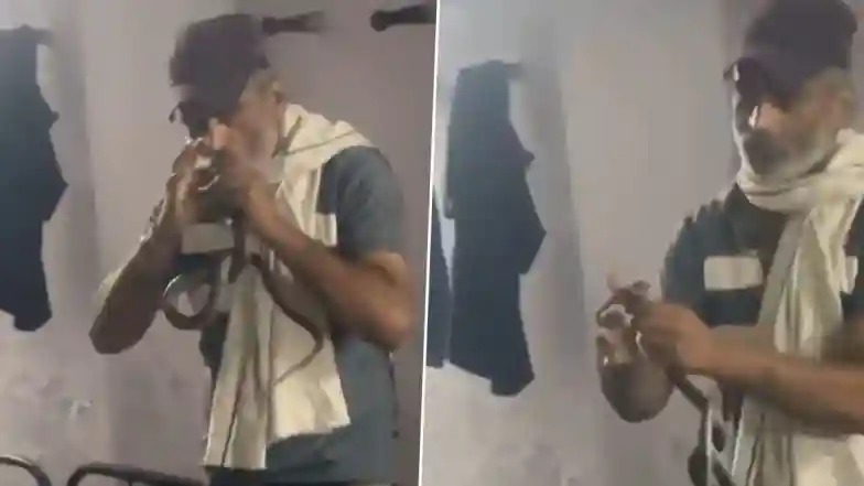 Snake Attack Video: షాకింగ్ వీడియో ఇదిగో, నాగు పామును పట్టుకుని సెల్పీ దిగుతుండగా కాటేసిన పాము, విషం త్వరగా ఎక్కడంతో కుప్పకూలి మృతి చెందిన కానిస్టేబుల్