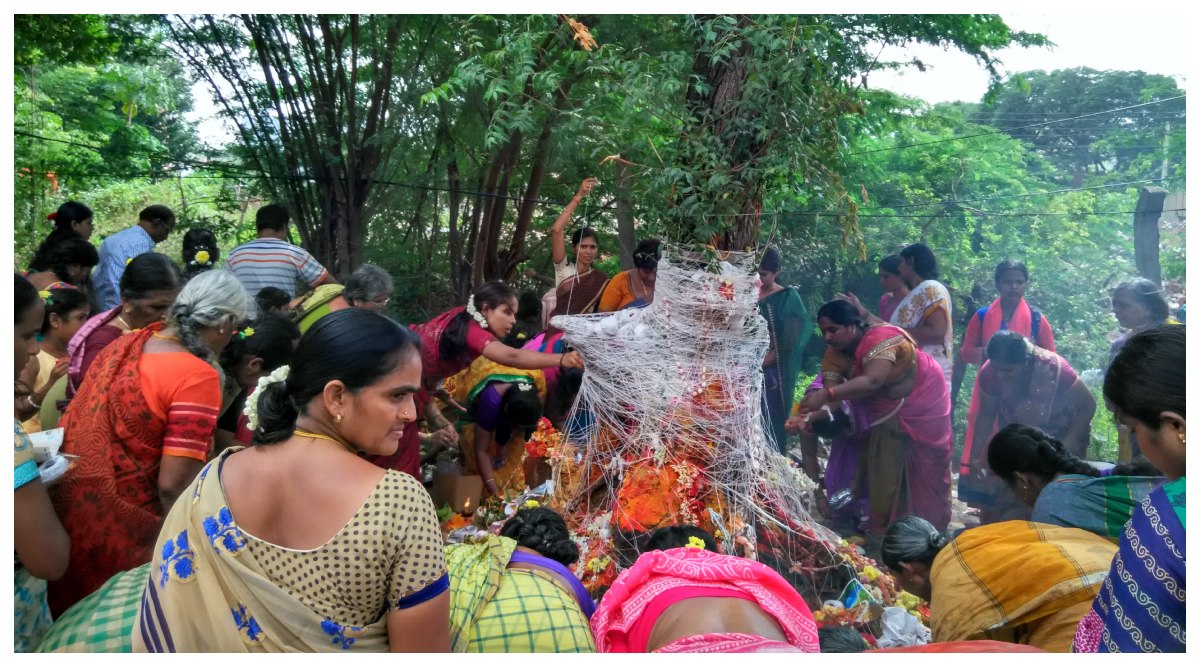 Nagula Chavithi 2025: నాగుల చవితి ఎప్పుడు? స్త్రీలు నాగుల చవితి ఎందుకు జరుపుకుంటారు? పూజా సమయం, ఉపవాసం, నైవేద్యం, మంత్రాలు, పూర్తి సమాచారం ఇదిగో..