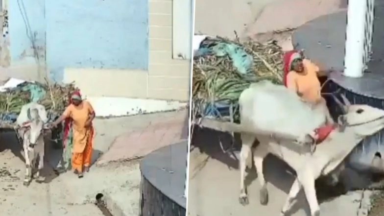 Meerut Tragedy Caught on Camera: షాకింగ్ వీడియో ఇదిగో, ఎద్దుల బండి పక్కన నడుస్తున్న మహిళకు చేదు అనుభవం, గోడ మధ్యలో ఇరుక్కుని తిరిగిరాని లోకాలకు..