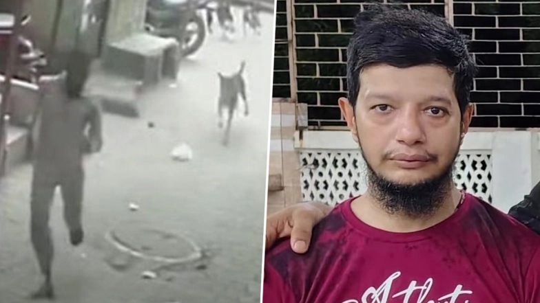 Surat Horror: వీడియో ఇదిగో, వీధి కుక్కల నుండి తప్పించుకోబోయి రోడ్డుపై జారి పడిన 38 ఏళ్ల వ్యక్తి, తీవ్ర రక్తస్రావంతో చికిత్స పొందుతూ మృతి