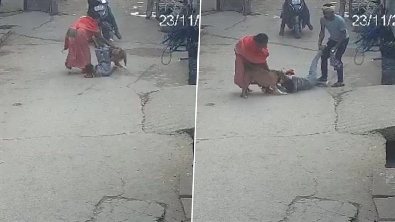 Delhi Dog Attack: షాకింగ్ వీడియో ఇదిగో, ఇంటి ముందు ఆడుకుంటున్న బాలుడిపై దాడి చేసిన పిట్‌బుల్ కుక్క, తలకు తీవ్ర గాయాలు, కుక్క యజమాని అరెస్ట్