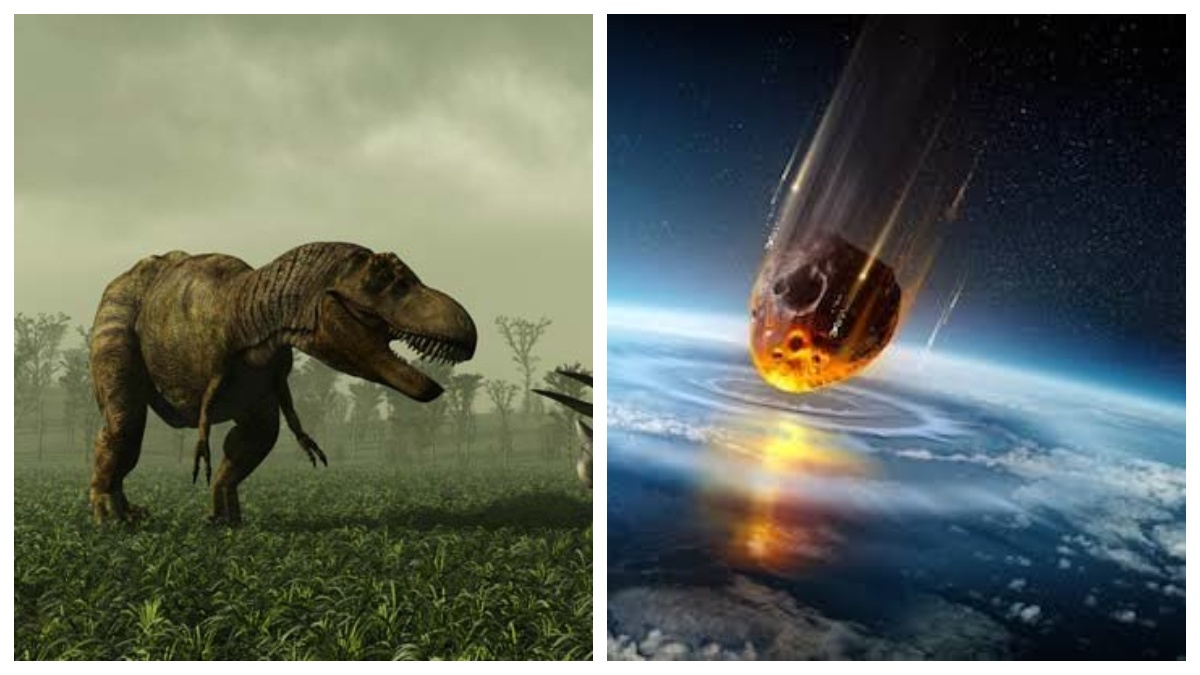 Dinosaur Killer Asteroid: డైనోసార్లను నాశనం చేసిన అరుదైన గ్రహశకలం గుర్తింపు.. కొత్త అధ్యయనంలో షాకింగ్ విషయాలు..