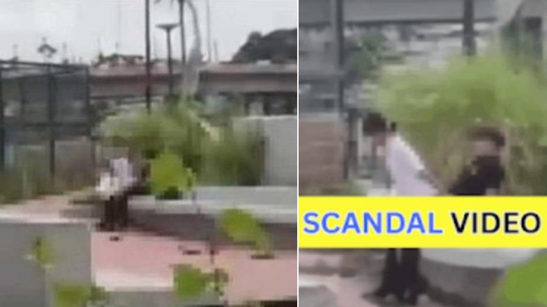 Iloilo Esplanade Viral Video: ఫిలిప్పీన్స్‌ పబ్లిక్ పార్కులో విద్యార్థుల సె*క్స్ వీడియో వైరల్.. క్లిప్ షేర్ చేస్తే కఠిన చర్యలు తప్పవని పోలీసుల హెచ్చరిక