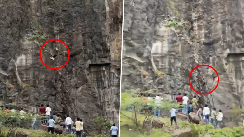 Maharashtra Tragedy: గుండెలు పగిలే వీడియో ఇదిగో.. ఐఫోన్ ఈఎంఐ ముగ్గురి ప్రాణాలను బలిగొంది.. కొండపై నుండి జారిపడి తండ్రి, కొడుకు మృతి..తట్టుకోలేక తల్లి కూడా కొండ పైనుంచి..