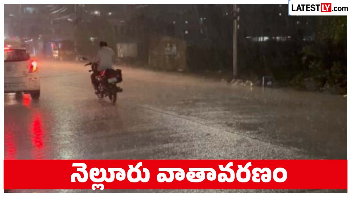 నేటి వాతావరణం : నెల్లూరు వాతావరణ సూచన.. నేడు ఉరుములు, మెరుపులతో వర్షాలు.. వాతావరణ శాఖ హెచ్చరిక
