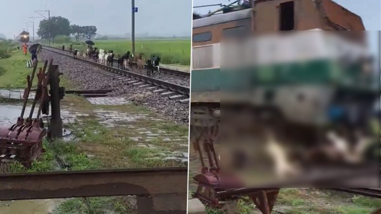 Pratapgarh Viral Video: మేకల గుంపుపైకి దూసుకెళ్లిన ఇంటర్‌సిటీ ఎక్స్‌ప్రెస్.. మహిళలకు తృటిలో తప్పిన ప్రమాదం..వీడియో ఇదిగో..