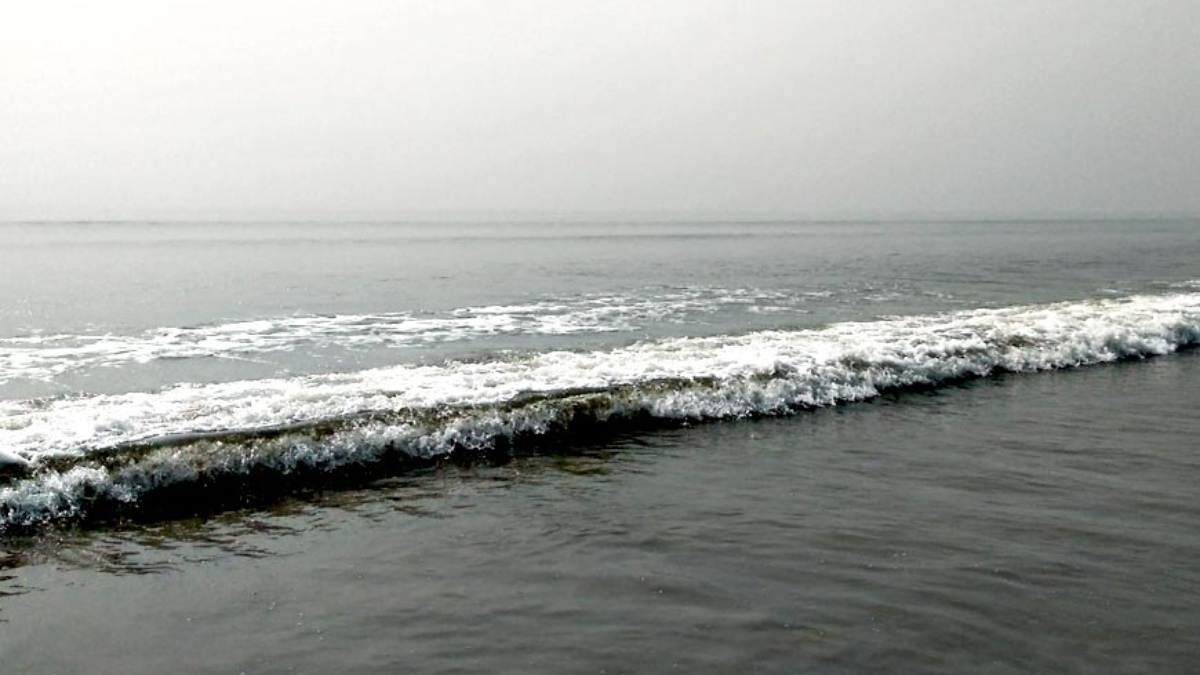 Bay of Bengal Dead Zone: బంగాళాఖాతంలో డెడ్ జోన్.. విశాఖ, కాకినాడ తీరాల్లో తీవ్ర ఆందోళన.. రోజజు రోజుకు పెరుగుతున్న ఆక్సిజన్ కొరత..