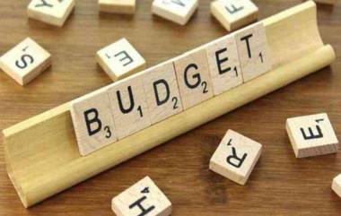 Union Budget 2021: తెలుగు రాష్ట్రాలకు మళ్లీ మొండి చేయి, బడ్జెట్లో కనపడని తెలుగు రాష్ట్రాల మెట్రో ఊసు, ఎన్నికలు జరగబోయే రాష్ట్రాలకు పెద్ద పీఠ వేసిన నిర్మలమ్మ బడ్జెట్