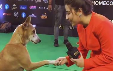 Dog In IIFA Awards: ఐఫా వేడుకులకు అనుకోని అతిథి, ఇంటర్యూ చేసిన నటి ఆదితి భాటియా, వైరల్ అవుతున్న వీడియో, ఇంటర్యూలో ఏం అడిగిందంటే..