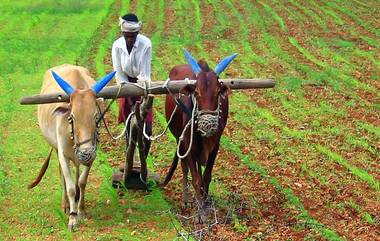 PM Kisan KYC Date Extended: పీఎం-కిసాన్ రైతులకు గుడ్ న్యూస్, ఈ-కేవైసీ గడువును మే 22, 2022 వరకు పొడిగించిన కేంద్రం, ఈ-కేవైసీ ప్రక్రియను ఎలా పూర్తి చేయాలో స్టెప్ బై స్టెప్ మీకోస్