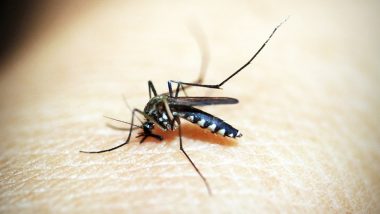 Mosquito Disease Protection Policy: దోమ కుట్టిందా, అయితే మీకు రూ. 10 వేల ఇన్సూరెన్స్, ఏడాదికి కేవలం రూ.99 చెల్లిస్తే చాలు, 40 లక్షల మందికి అందించనున్న ఎయిర్‌టెల్ పేమెంట్ బ్యాంకు, హెచ్‌డిఎఫ్2సి ఎర్గో