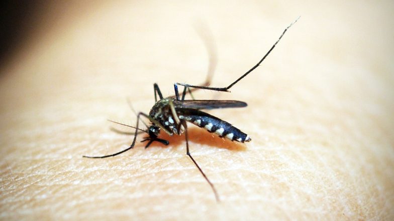 Mosquito Disease Protection Policy: దోమ కుట్టిందా, అయితే మీకు రూ. 10 వేల ఇన్సూరెన్స్, ఏడాదికి కేవలం రూ.99 చెల్లిస్తే చాలు, 40 లక్షల మందికి అందించనున్న ఎయిర్టెల్ పేమెంట్ బ్యాంకు, హెచ్డిఎఫ్2సి ఎర్గో
