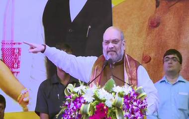 Amit Shah On NRC: దేశంలో అక్రమ వలసదారులను ఏరివేస్తాం,  హిందూ శరణార్థులకు మాత్రం భారతదేశ పౌరసత్వం కల్పిస్తాం,  జాతీయ పౌర జాబితాపై కీలక వ్యాఖ్యలు చేసిన అమిత్ షా