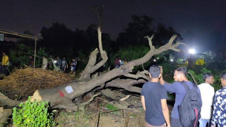 Aarey Green Killing: నీడ కోసం నీడనిచ్చే చెట్ల నరికివేత! ఇప్పటివరకు 2,141 చెట్లు నిర్ధాక్షణ్యంగా నేలకూల్చారు, అత్యవసరంగా విచారించిన సుప్రీంకోర్ట్, చెట్లు నరికివేత ఆపాల్సిందిగా ఉత్తర్వులు Aarey Green Killing: నీడ కోసం నీడనిచ్చే చెట్ల నరికివేత! ఇప్పటివరకు 2,141 చెట్లు నిర్ధాక్షణ్యంగా నేలకూల్చారు, అత్యవసరంగా విచారించిన సుప్రీంకోర్ట్, చెట్లు నరికివేత ఆపాల్సిందిగా ఉత్తర్వులు