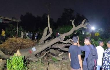 Aarey Green Killing: నీడ కోసం నీడనిచ్చే చెట్ల నరికివేత! ఇప్పటివరకు 2,141 చెట్లు నిర్ధాక్షణ్యంగా నేలకూల్చారు, అత్యవసరంగా విచారించిన సుప్రీంకోర్ట్, చెట్లు నరికివేత ఆపాల్సిందిగా ఉత్తర్వులు