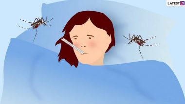 Dengue Fever: డేంజర్‌గా మారుతున్న డెంగ్యూ, పెరుగుతున్న కేసులు, డెంగ్యూ ఎలా వస్తుంది, నివారణ చర్యలు ఏంటీ, ప్లేట్‌లెట్ల స్థాయిని పెంచే ఆహారపదార్థాలు ఏంటో ఓ సారి చూద్దాం