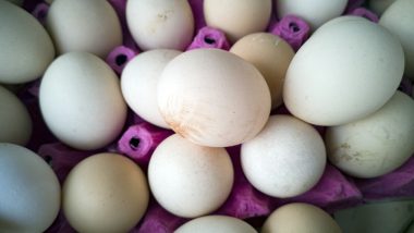Boiled Egg vs Raw Egg: పచ్చిగుడ్డు మంచిదా, ఉడకబెట్టిన గుడ్డు ఆరోగ్యానికి మంచిదా, రెండింట్లో ఏది సరైనదో తెలుసుకోండి..